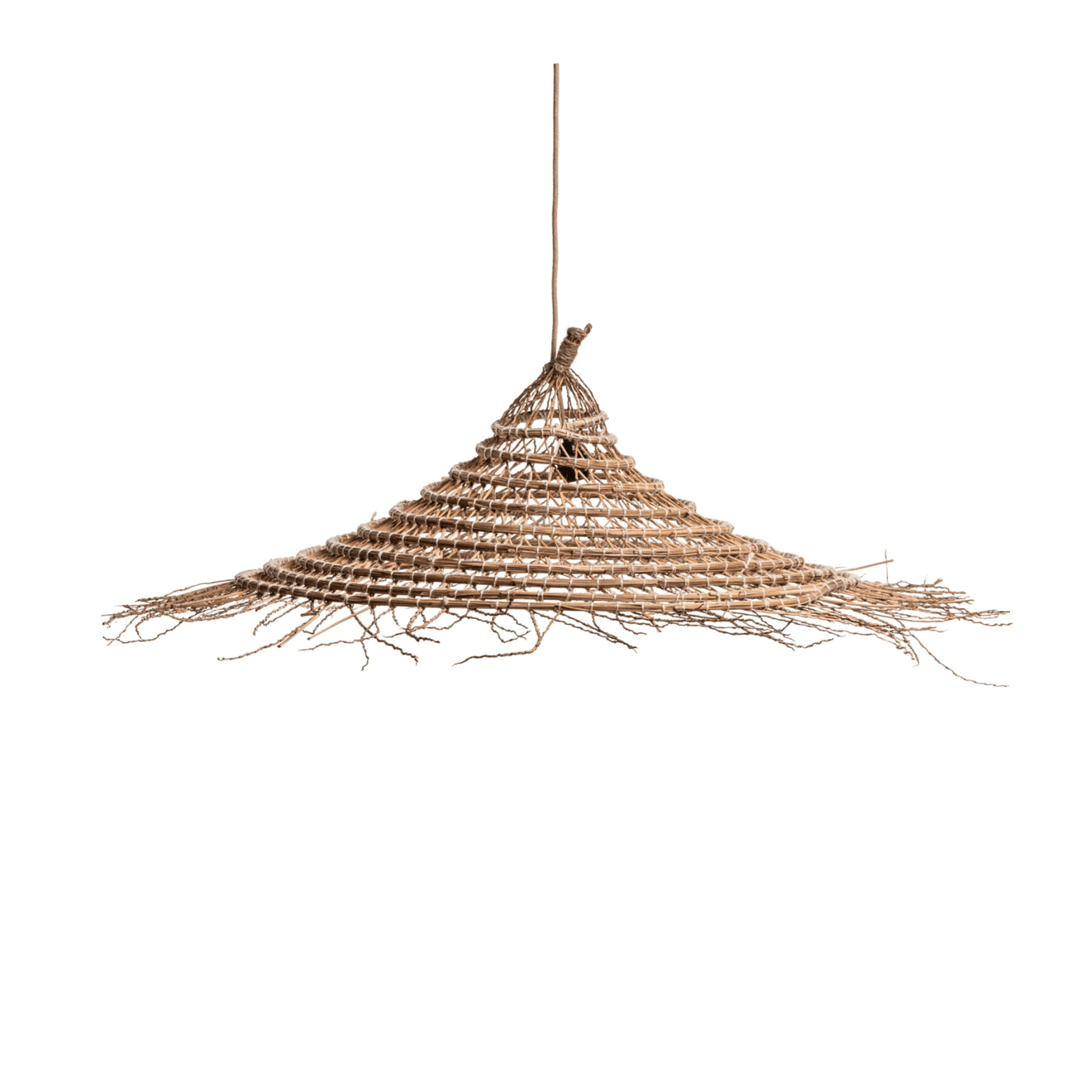 Date Palm Lampshade image 1