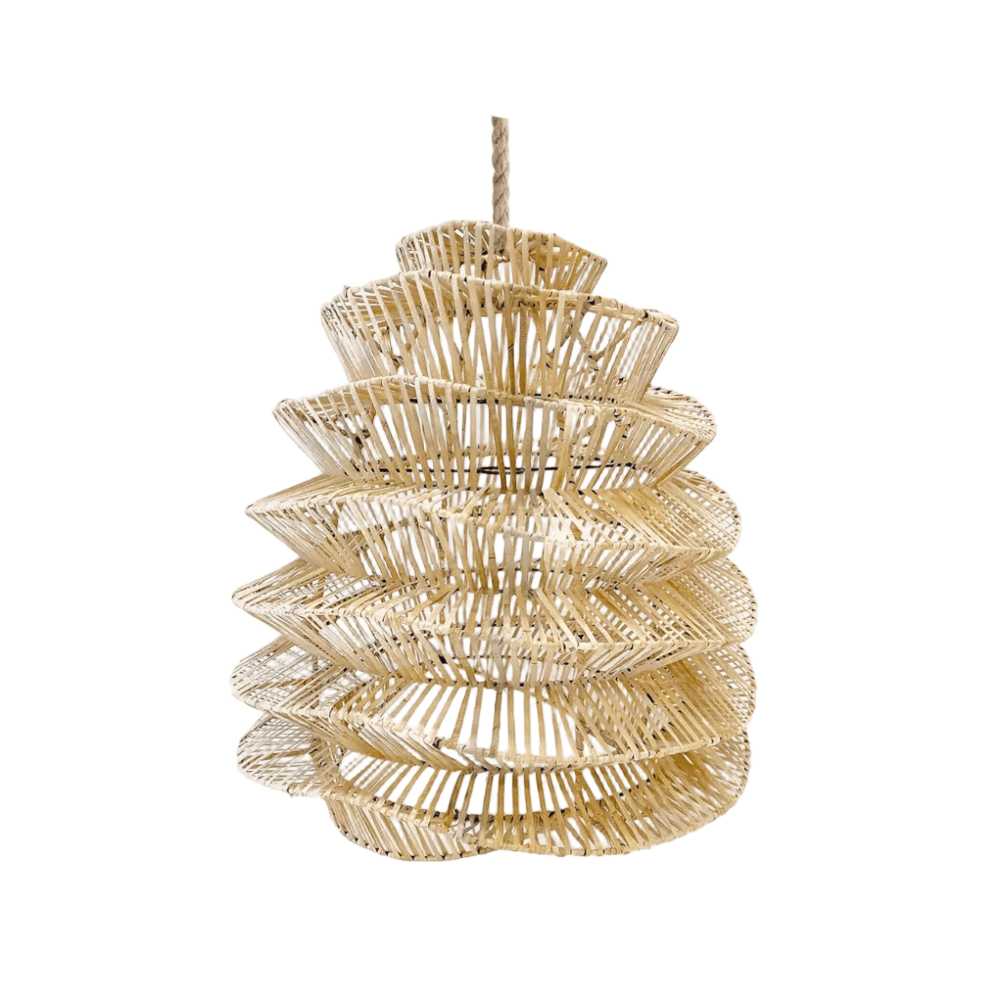 Rattan Lampshade SCULPTURE image 1